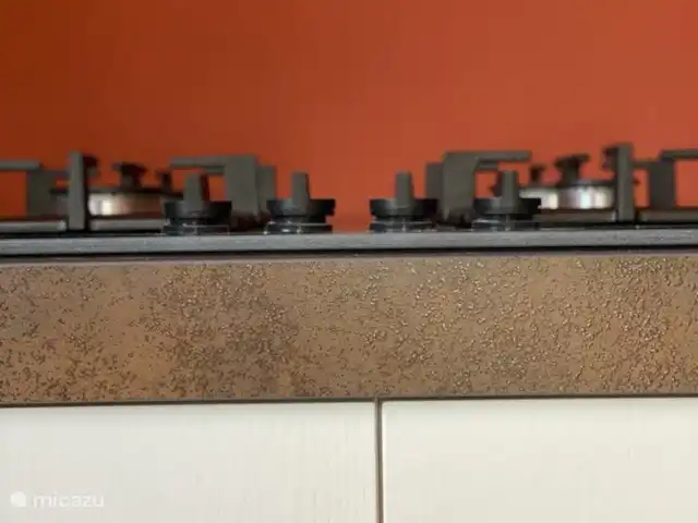 Vakantiehuis 'Rood Koper' Veluwe! huren in Nederland, Gelderland, Putten - bungalow