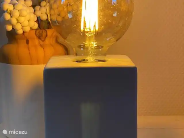 Vakantiehuis 'Rood Koper' Veluwe! huren in Nederland, Gelderland, Putten - bungalow