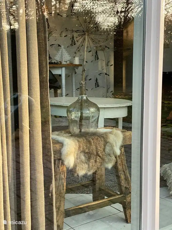 Alles nieuw in januari 2021