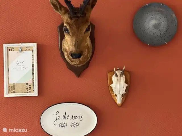 Vakantiehuis 'Rood Koper' Veluwe! huren in Nederland, Gelderland, Putten - bungalow