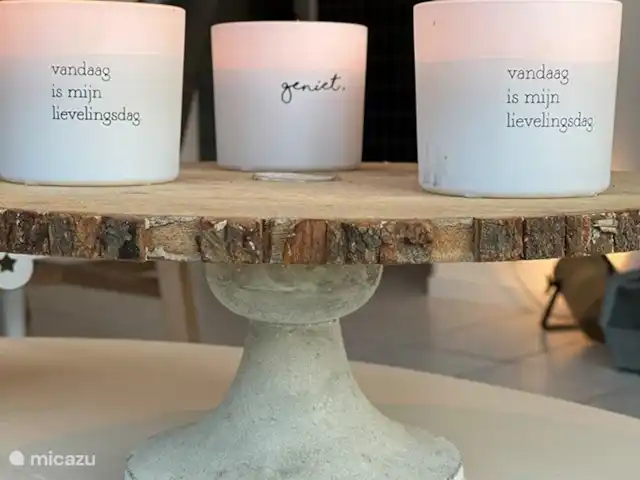 Vakantiehuis 'Rood Koper' Veluwe! huren in Nederland, Gelderland, Putten - bungalow Heerlijk genieten!