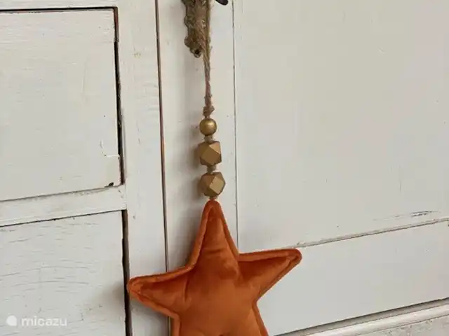 Vakantiehuis 'Rood Koper' Veluwe! huren in Nederland, Gelderland, Putten - bungalow