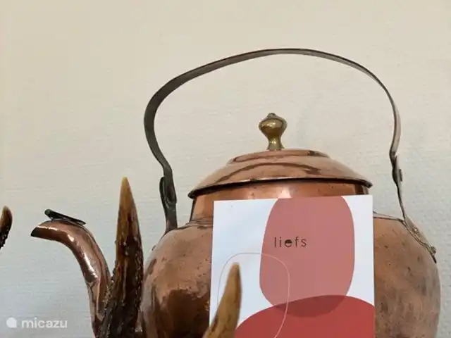 Vakantiehuis 'Rood Koper' Veluwe! huren in Nederland, Gelderland, Putten - bungalow