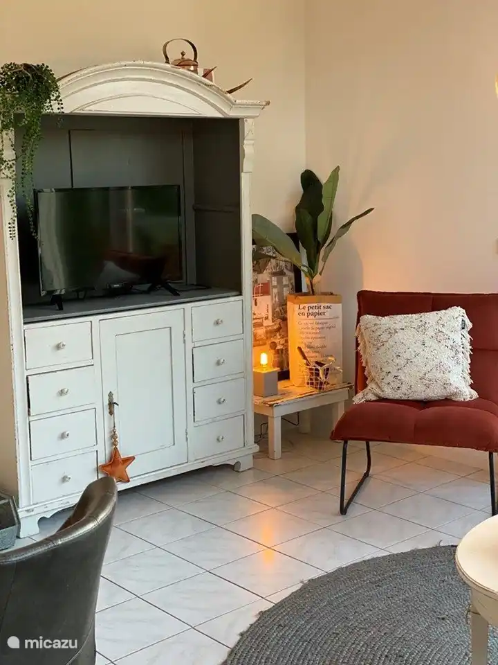 TV met alle kanalen en wifi!