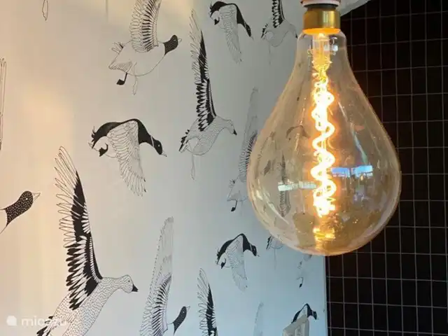 Vakantiehuis 'Rood Koper' Veluwe! huren in Nederland, Gelderland, Putten - bungalow Gaaf behang van het merk Onszelf