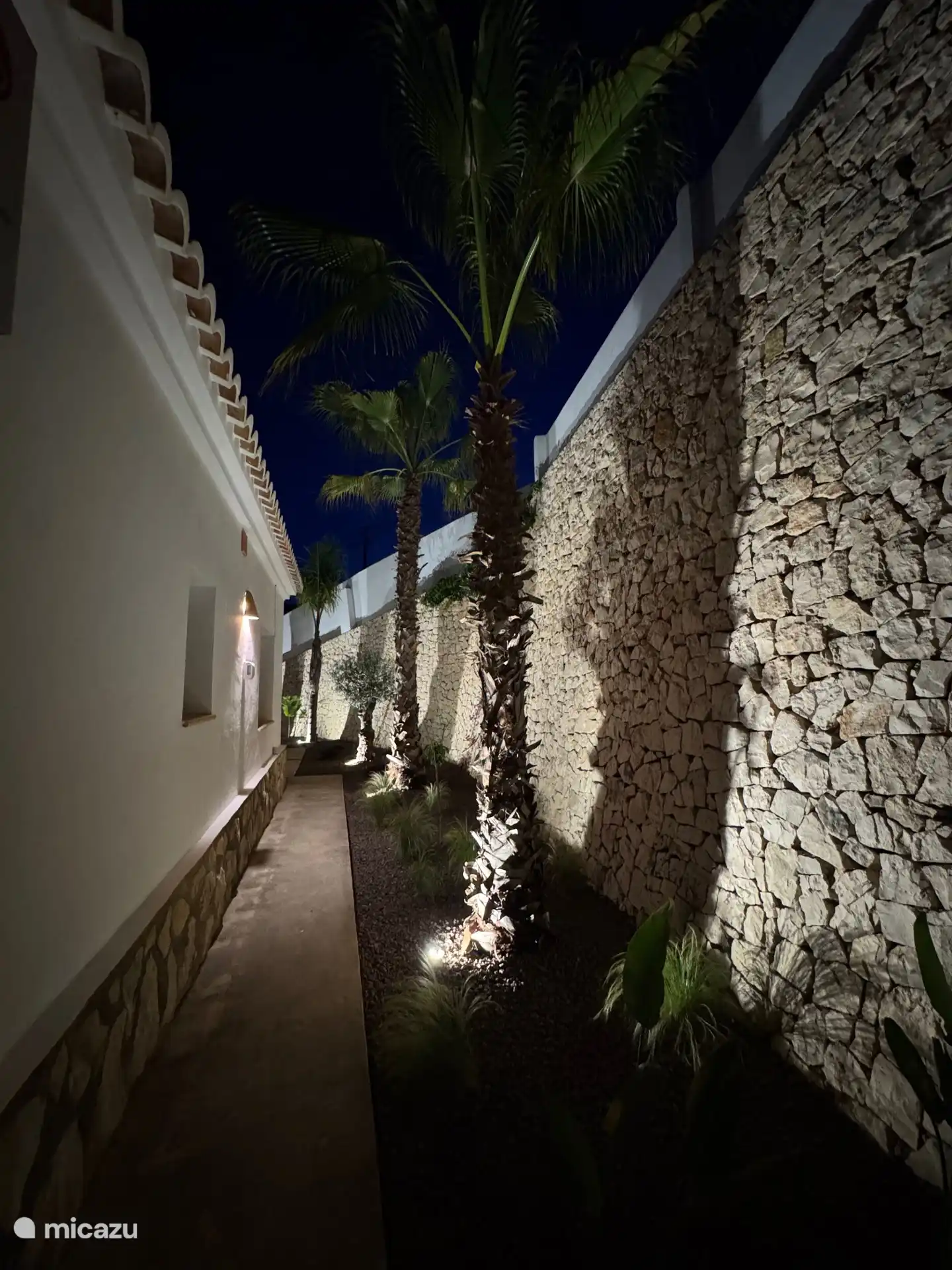 Backyard with lighting