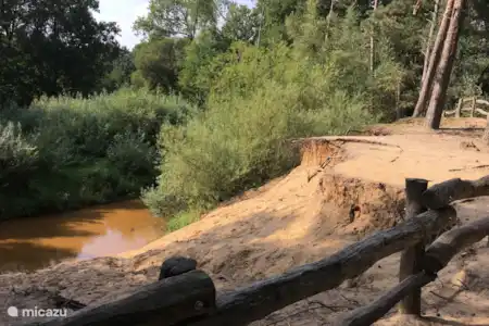 Actief in Twente