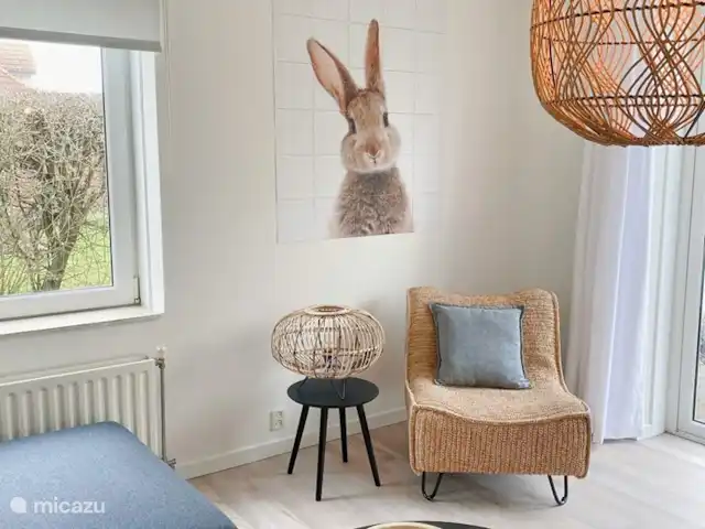 Duinpan 11 Maison de vacances en Zélande | Pays-Bas, Zélande, Kamperland - maison de vacances Zone assise