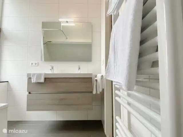 Duinpan 11 Maison de vacances en Zélande | Pays-Bas, Zélande, Kamperland - maison de vacances Salle de bains