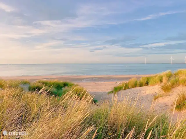Duinpan 11 Maison de vacances en Zélande | Pays-Bas, Zélande, Kamperland - maison de vacances Plage de Banjaard