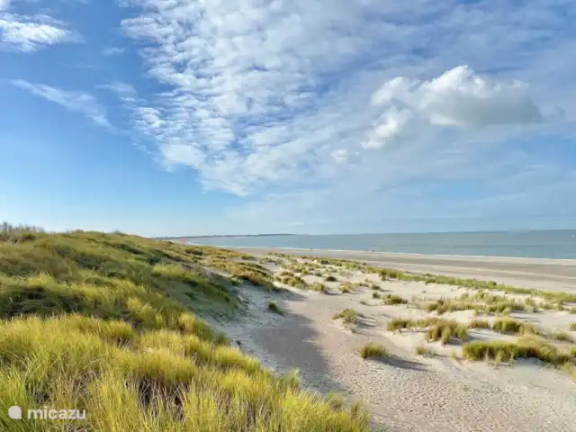 Duinpan 11 Maison de vacances en Zélande | Pays-Bas, Zélande, Kamperland - maison de vacances Plage de Banjaard