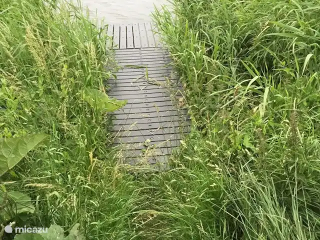 Pequeña casa Bergen NH en Países Bajos, Holanda del Norte, Warmenhuizen - chalet El canal Noordholland donde puedes lanzar una caña de pescar