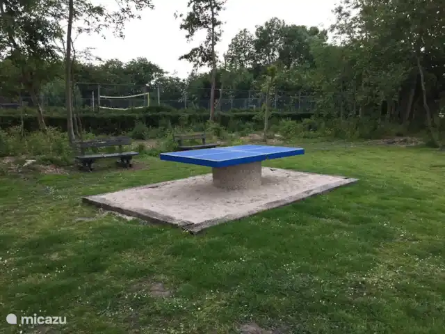 Pequeña casa Bergen NH en Países Bajos, Holanda del Norte, Warmenhuizen - chalet Tenis de mesa en el parque