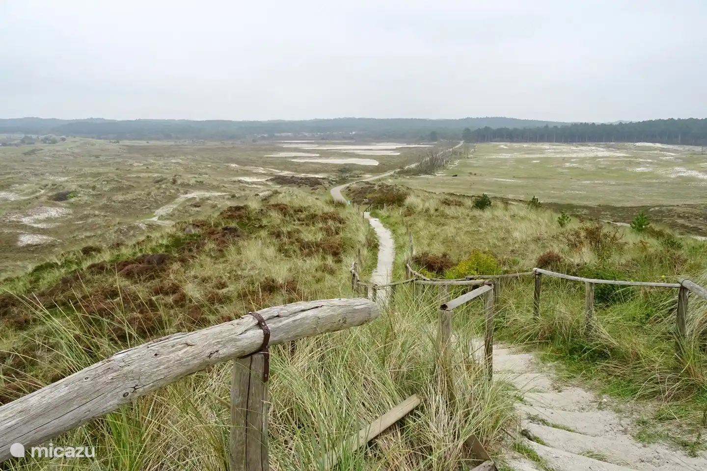 Die schönen Schoorl-Dünen, in denen Sie wandern und Rad fahren können