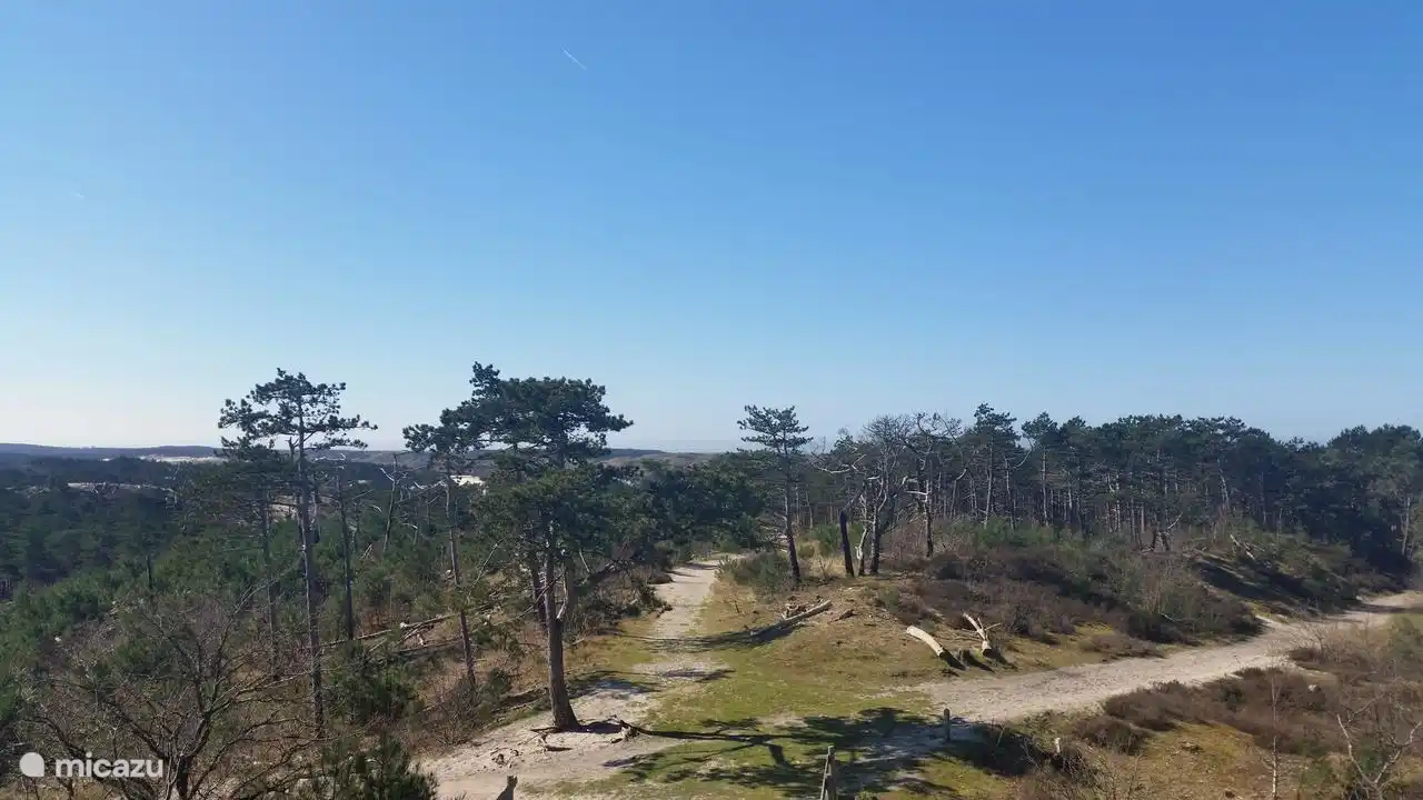 Die schönen Schoorl-Dünen, in denen Sie wandern und Rad fahren können