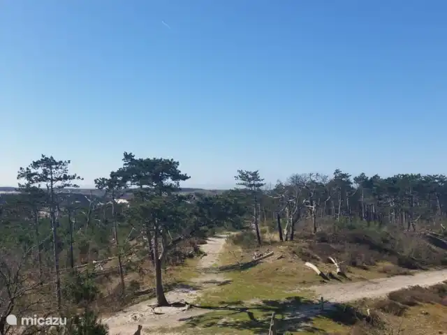 Pequeña casa Bergen NH en Países Bajos, Holanda del Norte, Warmenhuizen - chalet Las hermosas dunas de Schoorl donde puedes caminar y andar en bicicleta.