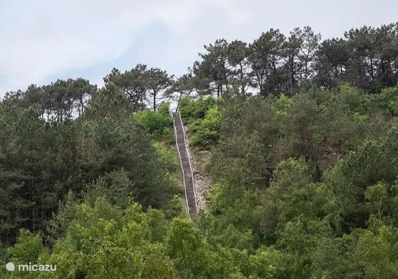 Die schönen Schoorl-Dünen, in denen Sie wandern und Rad fahren können