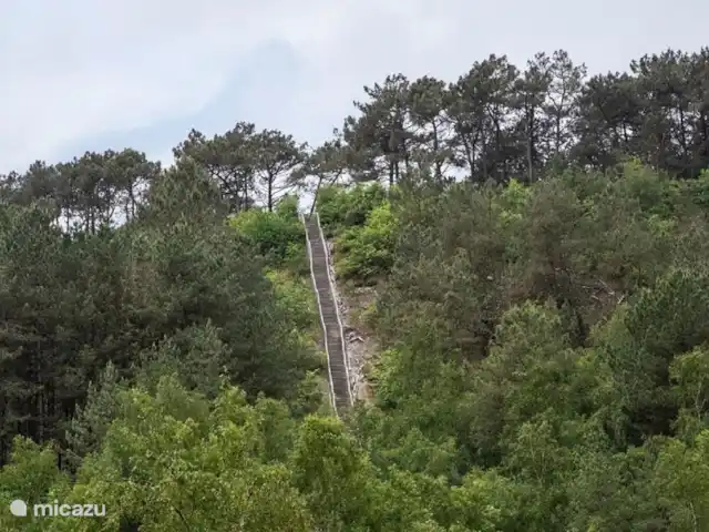 Pequeña casa Bergen NH en Países Bajos, Holanda del Norte, Warmenhuizen - chalet Las hermosas dunas de Schoorl donde puedes caminar y andar en bicicleta.