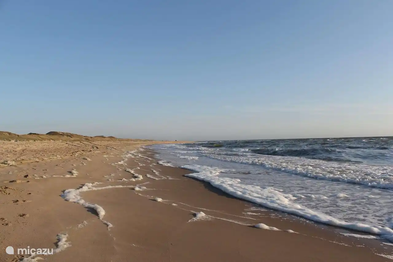 Der Strand in Schoorl