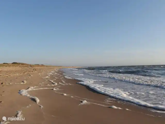 Pequeña casa Bergen NH en Países Bajos, Holanda del Norte, Warmenhuizen - chalet La playa de Schoorl