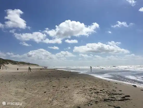 Der Schoorl Strand