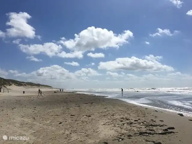 Pequeña casa Bergen NH en Países Bajos, Holanda del Norte, Warmenhuizen - chalet playa escolar