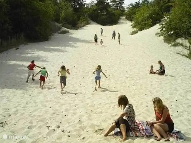 Pequeña casa Bergen NH en Países Bajos, Holanda del Norte, Warmenhuizen - chalet La duna trepadora en Schoorl. muy bonito para los niños