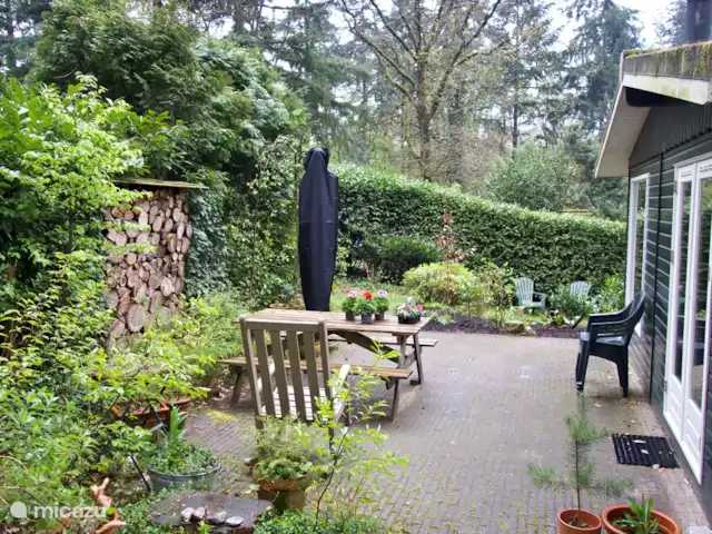 Chalet dans les bois | Pays-Bas, Gueldre, Groesbeek - chalet terrasse