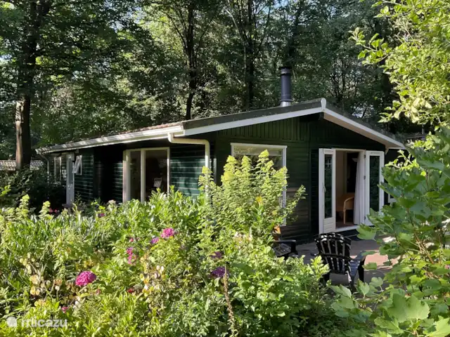 Chalet dans les bois | Pays-Bas, Gueldre, Groesbeek - chalet Terrasse
