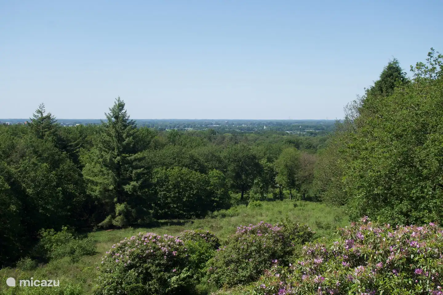 Vista desde Die Hooge Hoenderberg (junto a Cantecleer)