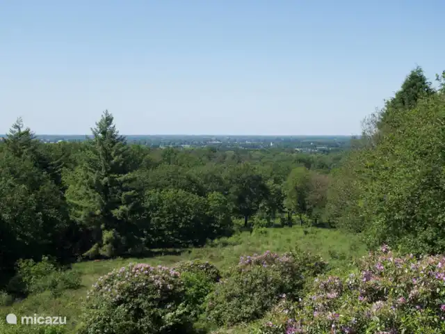 Chalet dans les bois | Pays-Bas, Gueldre, Groesbeek - chalet Vue depuis Die Hooge Hoenderberg (à côté de Cantecleer)