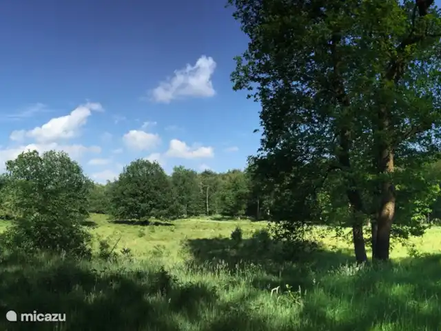 Chalet dans les bois | Pays-Bas, Gueldre, Groesbeek - chalet Heumensoord
