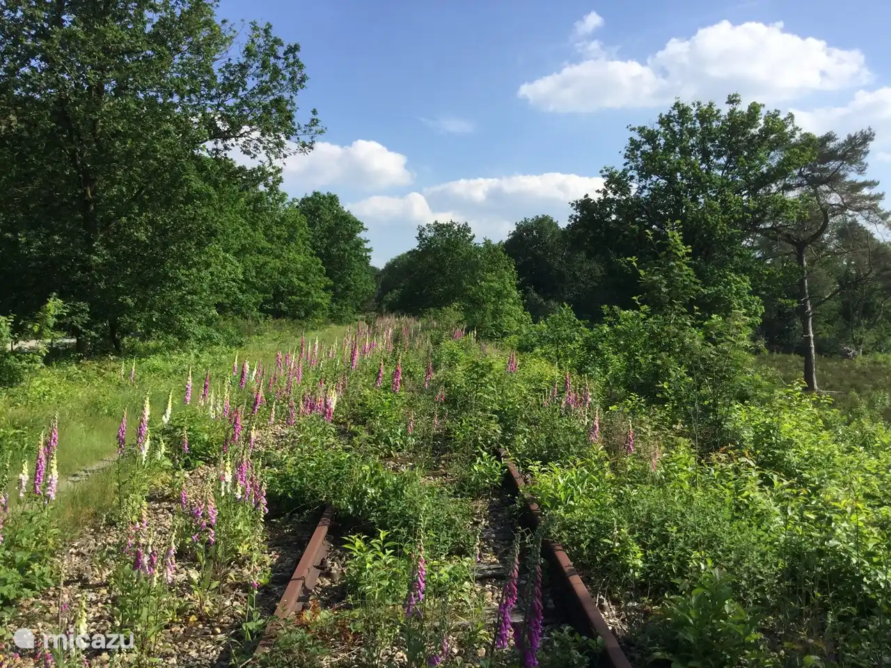 A lo largo de la antigua vía férrea de Nijmegen a Kleve.