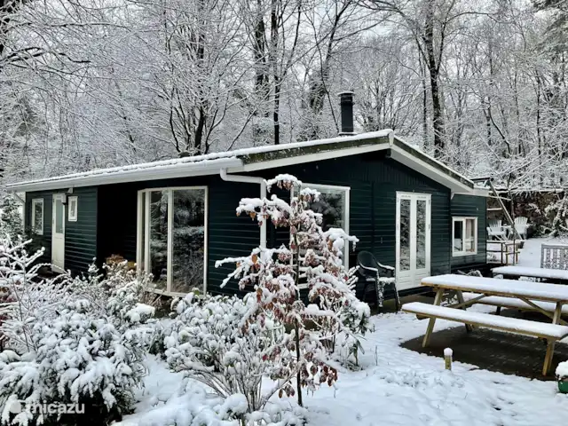 Chalet dans les bois | Pays-Bas, Gueldre, Groesbeek - chalet Belle en hiver aussi !
