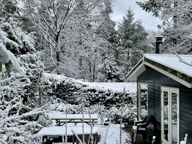 Chalet dans les bois | Pays-Bas, Gueldre, Groesbeek - chalet Hiver