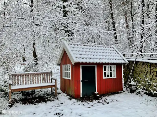 Chalet dans les bois | Pays-Bas, Gueldre, Groesbeek - chalet Cour
