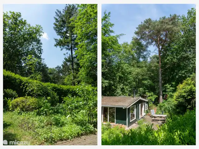 Chalet dans les bois | Pays-Bas, Gueldre, Groesbeek - chalet La maison est magnifiquement située entre les arbres