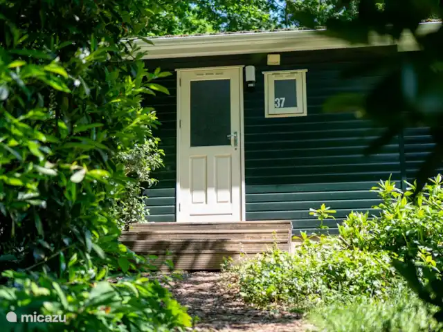 Chalet dans les bois | Pays-Bas, Gueldre, Groesbeek - chalet La porte d'entrée est accessible par 4 marches.