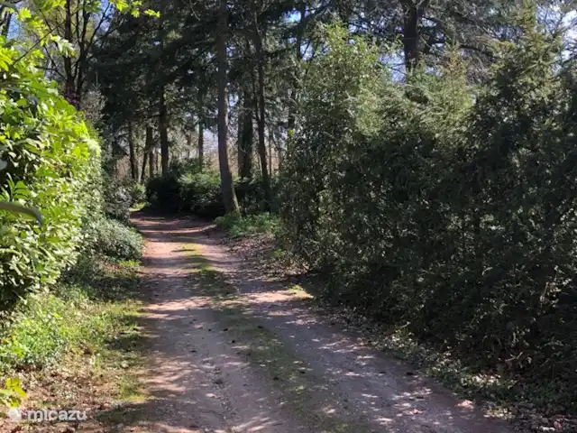 Chalet dans les bois | Pays-Bas, Gueldre, Groesbeek - chalet chemin vers la maison