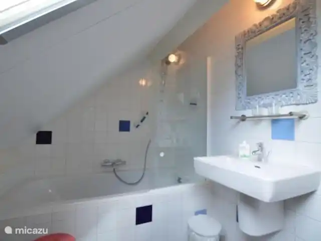 Paradis sur le Dwingelerveld | Pays-Bas, Drenthe, Ruinen - maison de vacances Salle de bain à l'étage