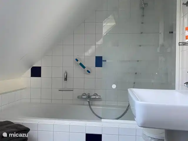 Paradis sur le Dwingelerveld | Pays-Bas, Drenthe, Ruinen - maison de vacances Salle de bain à l'étage