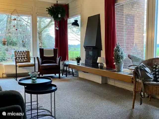 Paradis sur le Dwingelerveld | Pays-Bas, Drenthe, Ruinen - maison de vacances La cheminée à gaz confortable est toujours libre d'utilisation.