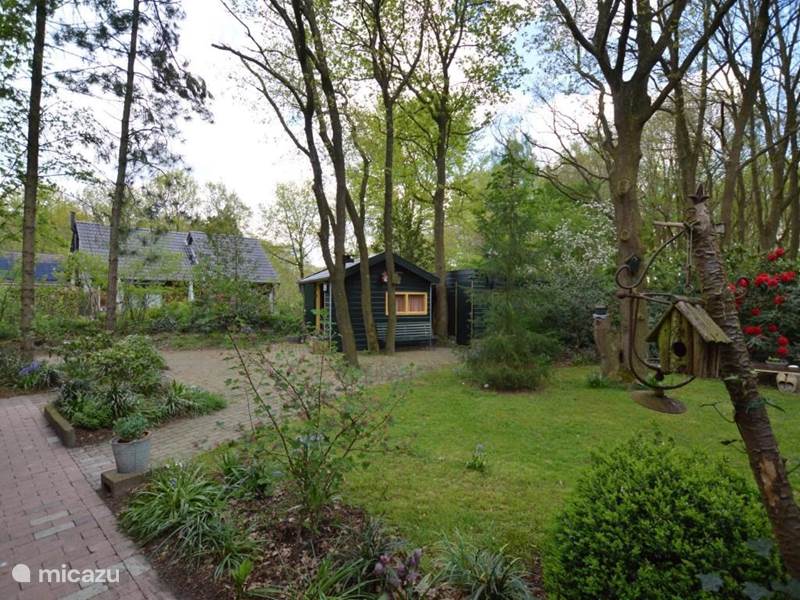 Holiday home in Netherlands, Drenthe, Geldings Holiday house Paradise on the Dwingelerveld