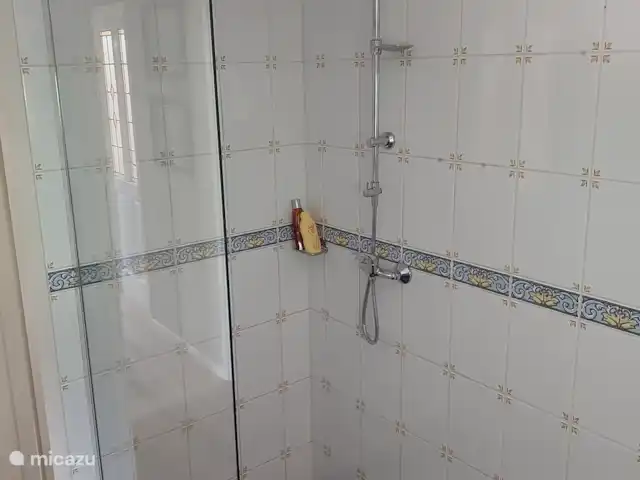Location de Vacances Pays-Bas, Gueldre, Wells, maison de vacances - Le joyau de Putse La douche à l'italienne