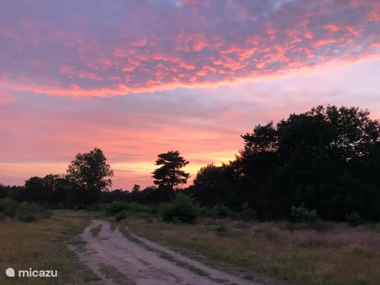 Die Heide und Wälder zu Fuß erreichbar