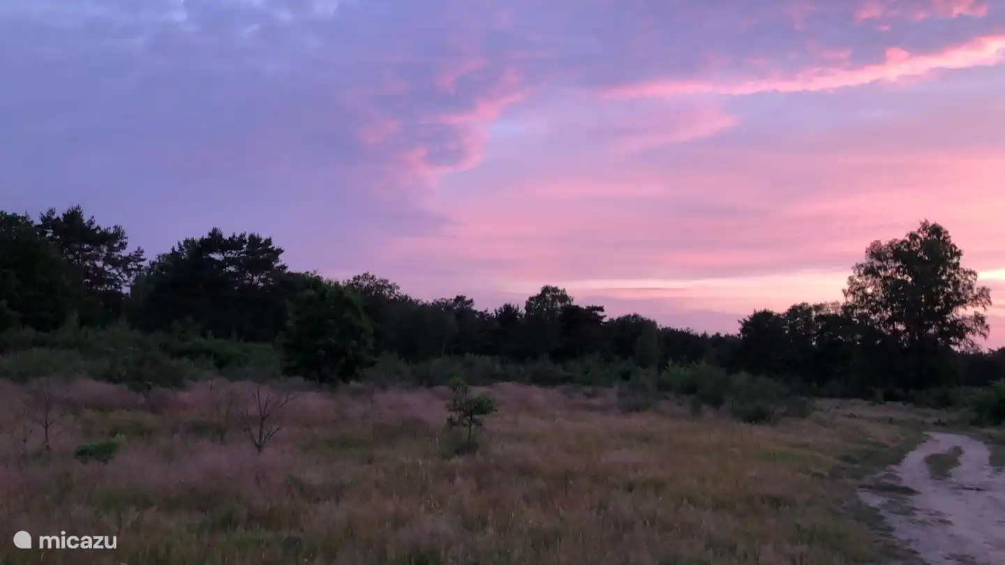 Die Heide und Wälder zu Fuß erreichbar