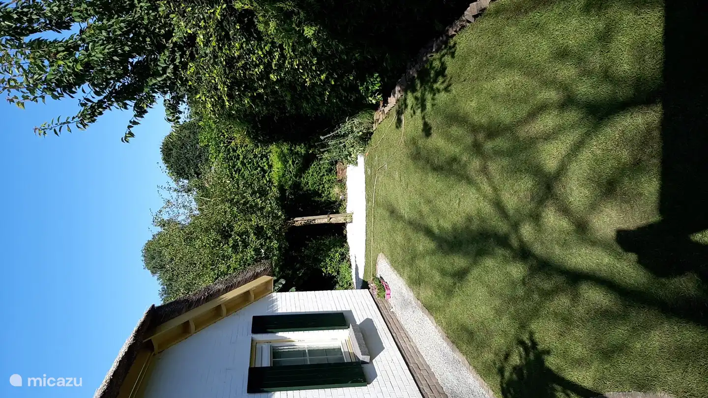 Hinterhof mit überdachter Terrasse. Der Garten wird derzeit umgestaltet, er wird ab September 2021 anders aussehen.