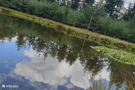 détente dans la Veluwe