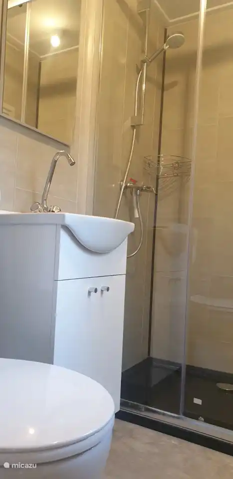 renoviertes Badezimmer ab Herbst 2022