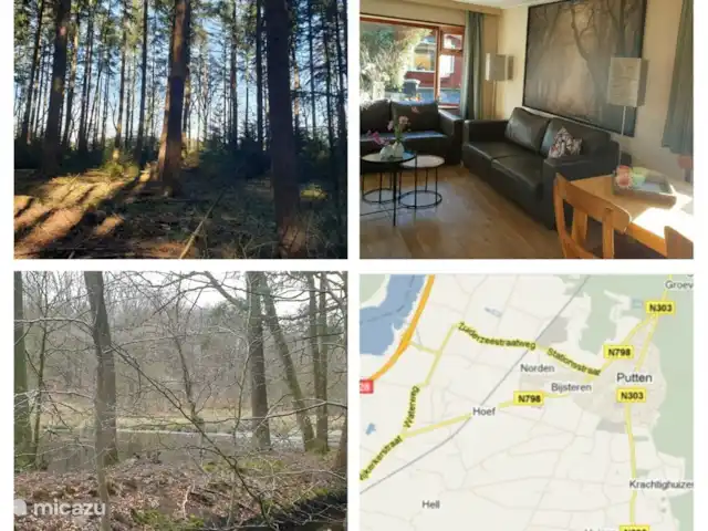 L'écureuil | Pays-Bas, Gueldre, Wells - chalet